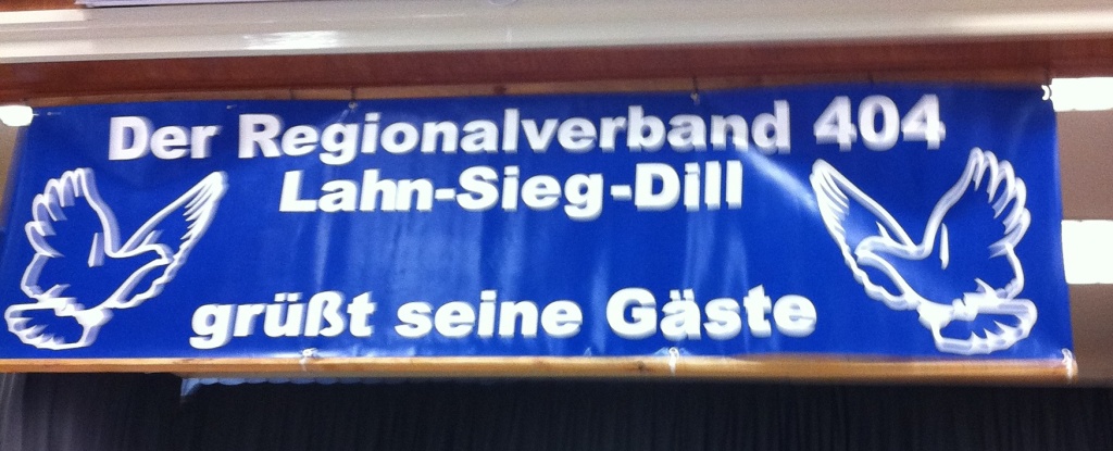 Brieftauben sind tolle Tiere Brieftauben sind tolle Tiere